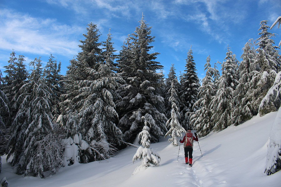 Maybe we should have brought our skis...
