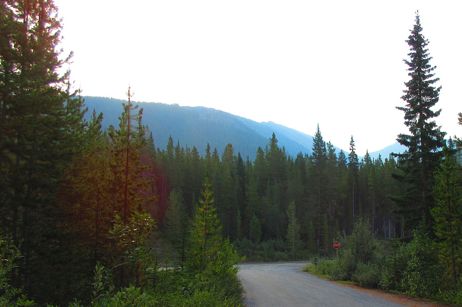 It doesn't look red to me!