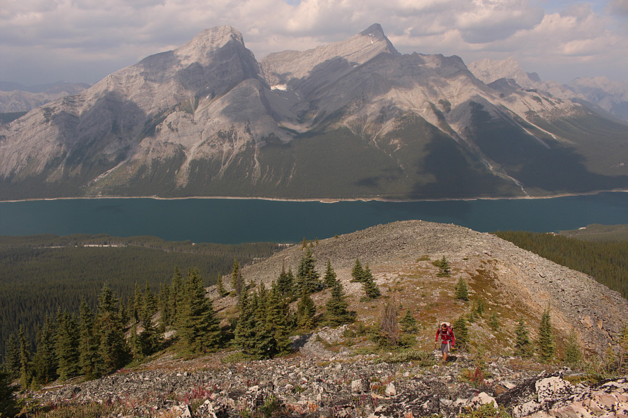 I climbed Old Goat Mountain 8 years ago, and 8 years before that, I climbed Mount Nestor. I wonder what I will climb around here 8 years in the future...