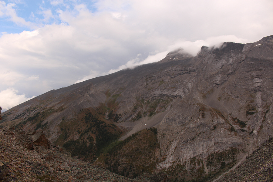 I wonder where Wayne Pickard is these days...