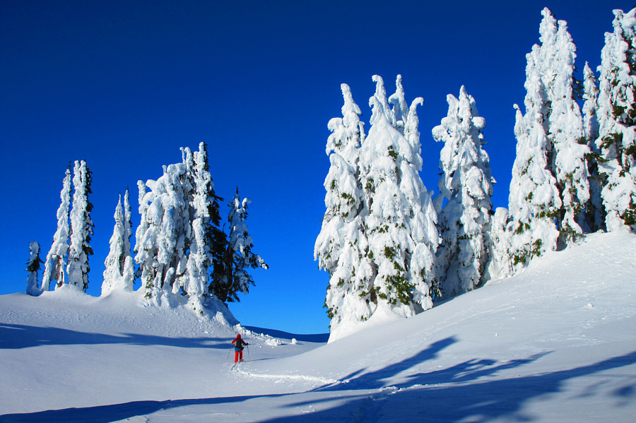 I think the summit is this way...maybe...