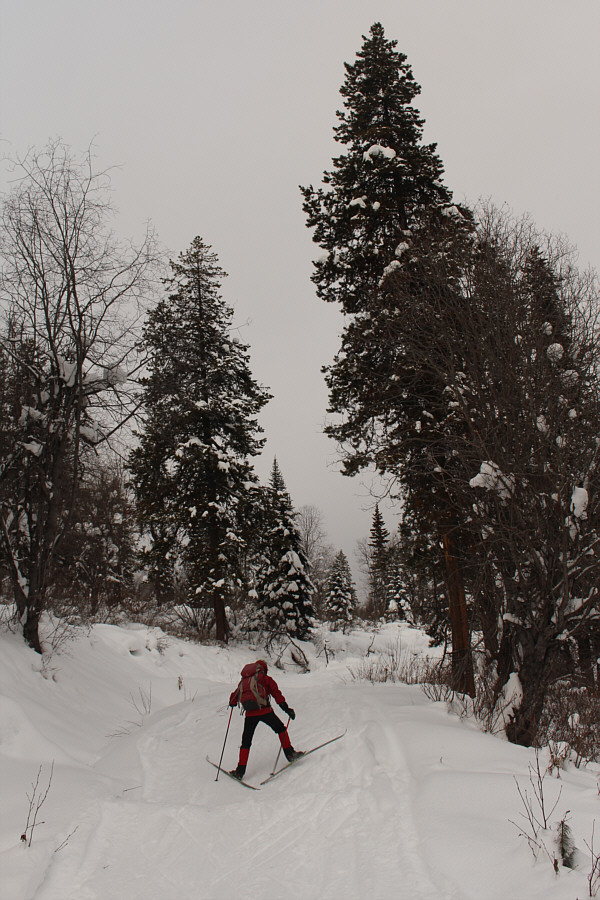 I'd recommend a good sticky, climbing wax for this trip because it feels like it's uphill for most of the entire loop!