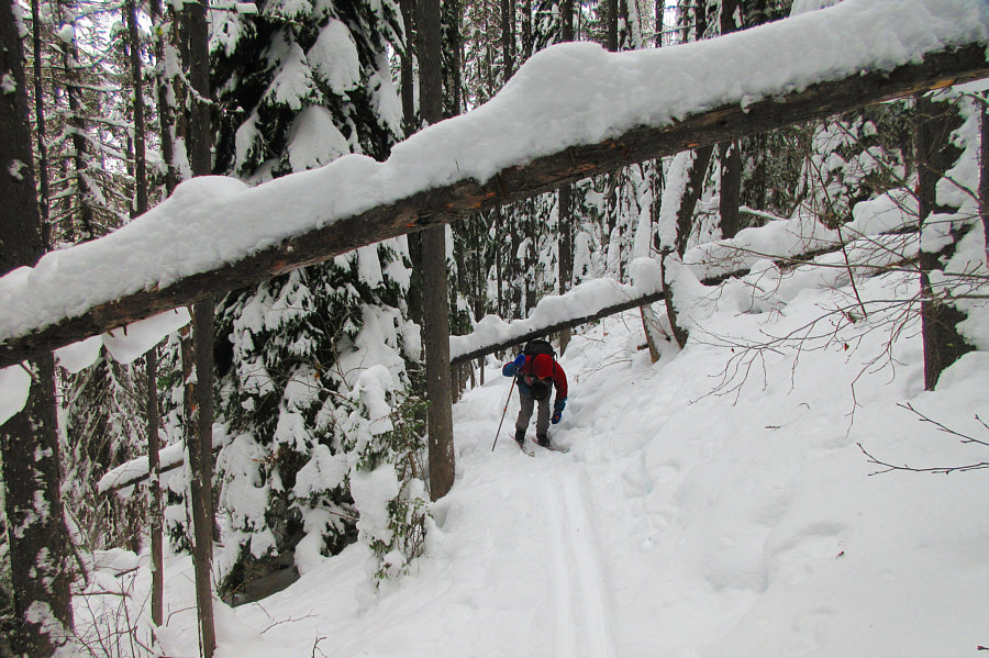 This section was actually a lot of fun to ski despite all the difficulties.