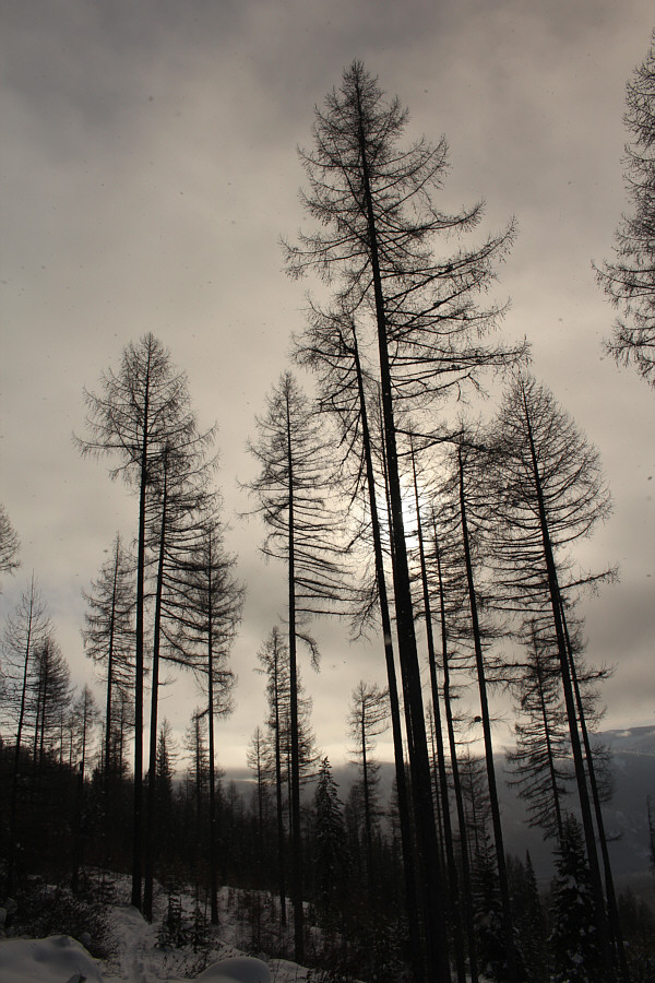 My artsy shot of the day!