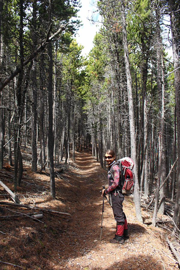 A very delightful section to walk!