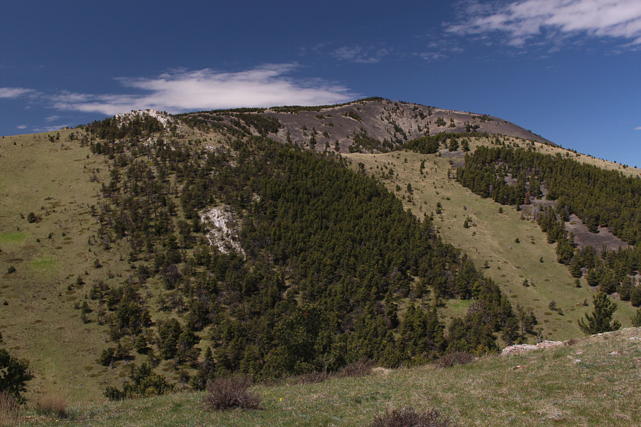 And it is without question the least scenic summit of them all!