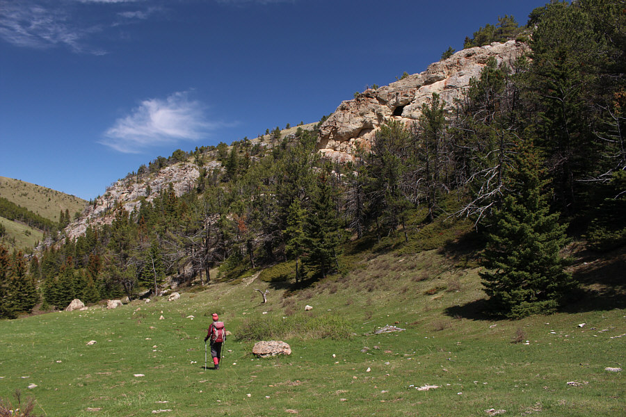 With a creek nearby, this is also a great camping spot!