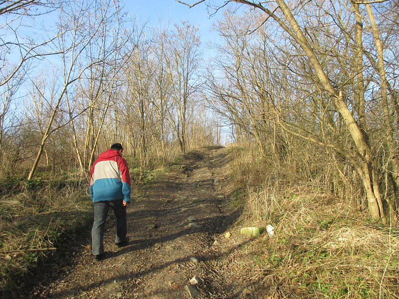 Feels just like walking in the front ranges of Kananaskis Country!