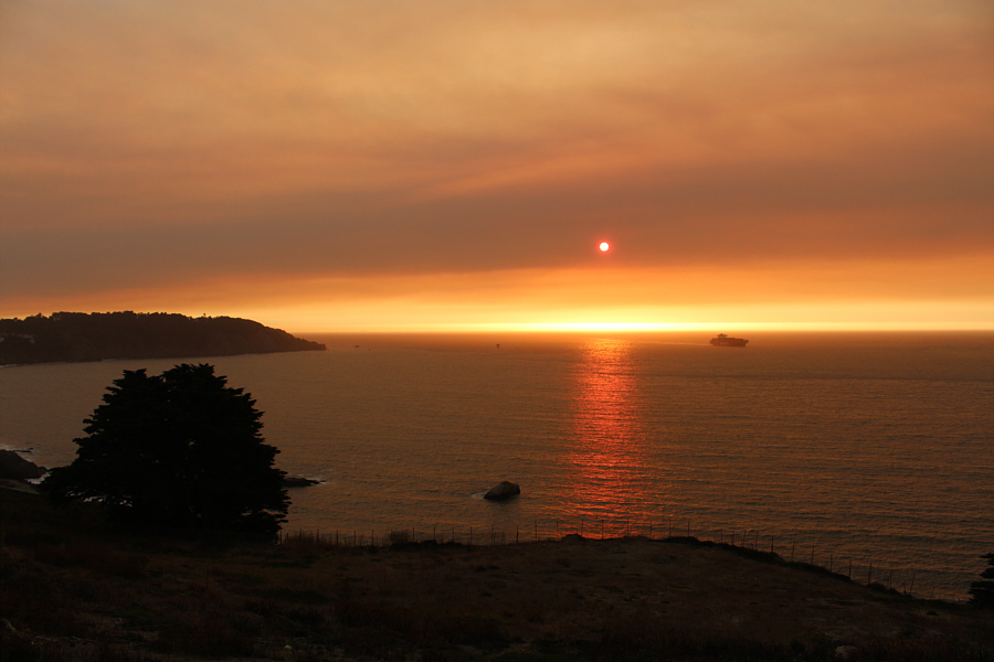 We saw lots of porpoises in the water here.