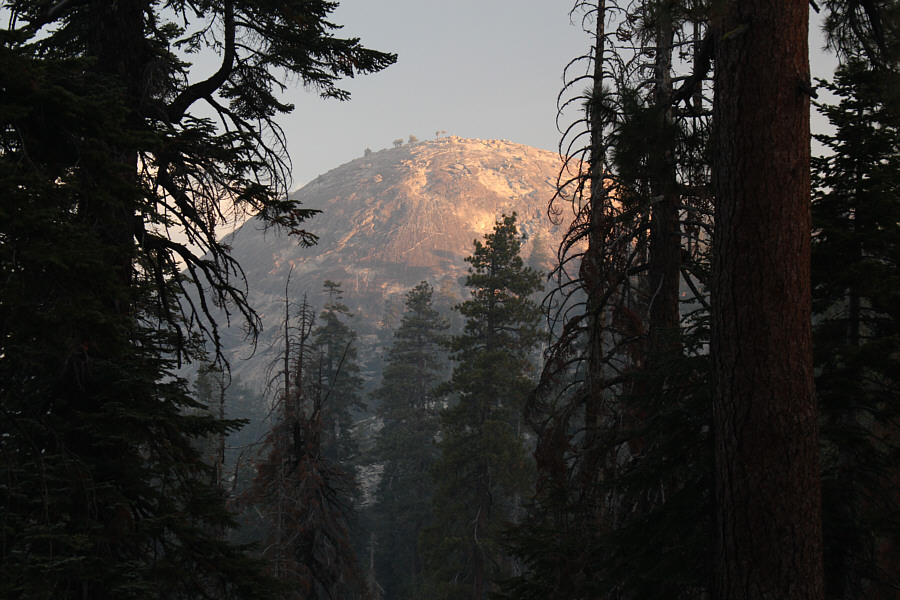 Looks a bit intimidating from a distance!