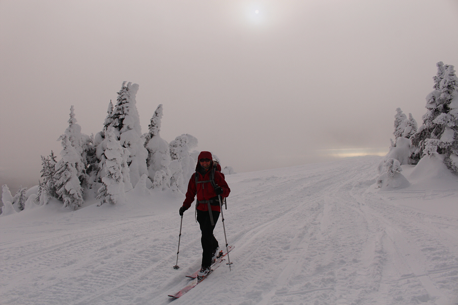 We made it...I think!