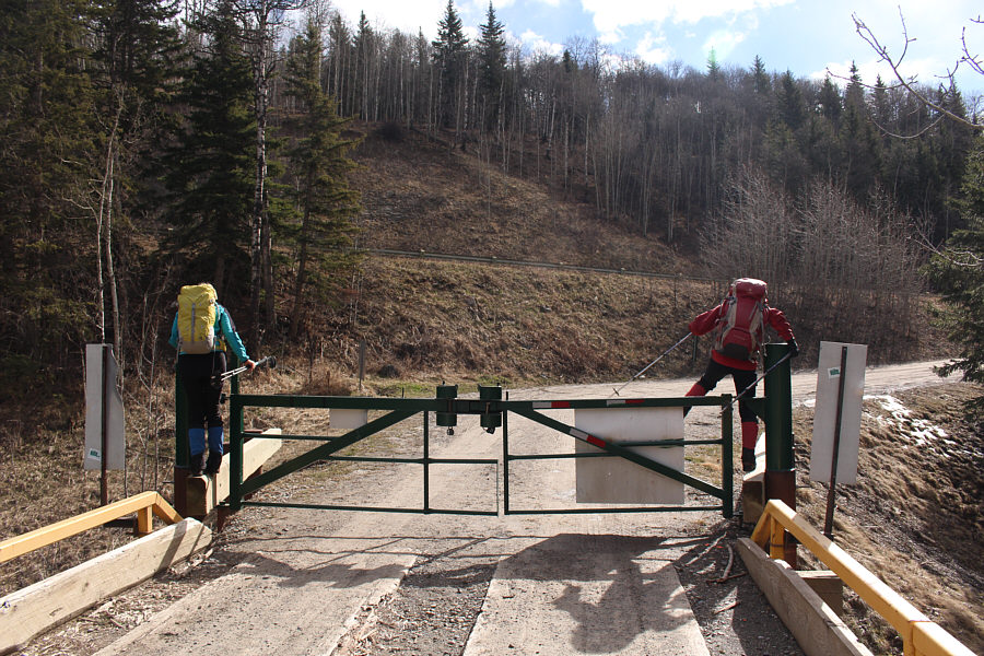 Yep, we could have driven and parked here to start our hike!