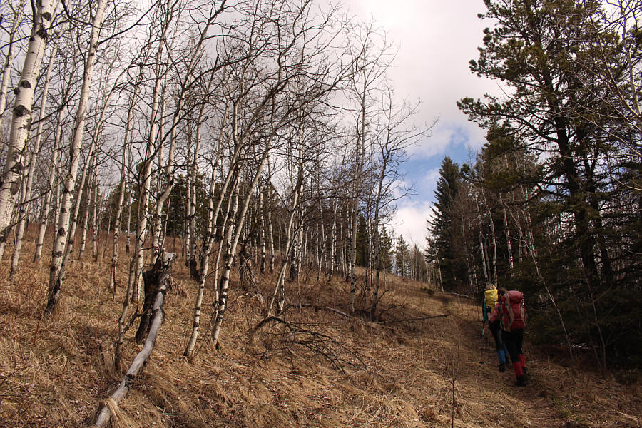 The "Mesa Grind" aptly describes itself!