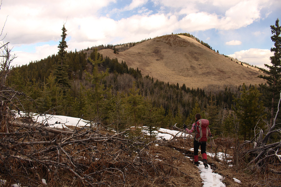 Looks more round than square...