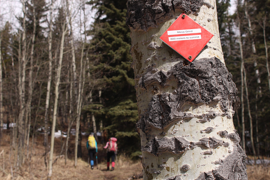 Is that "800 metres" vertical or horizontal?