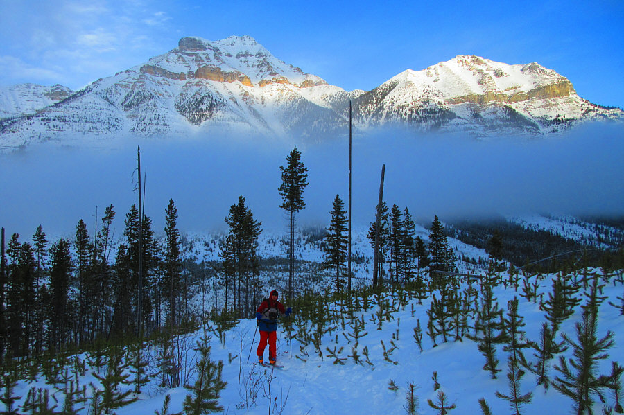 That sub-peak of Whymper to the right is kinda piquing my curiosity...