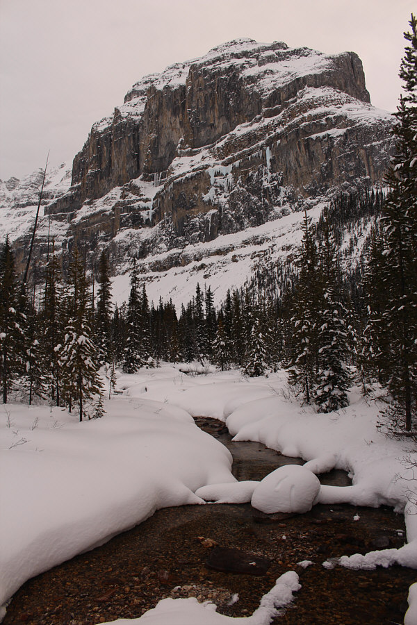 There are some serious icicles on that cliff face!