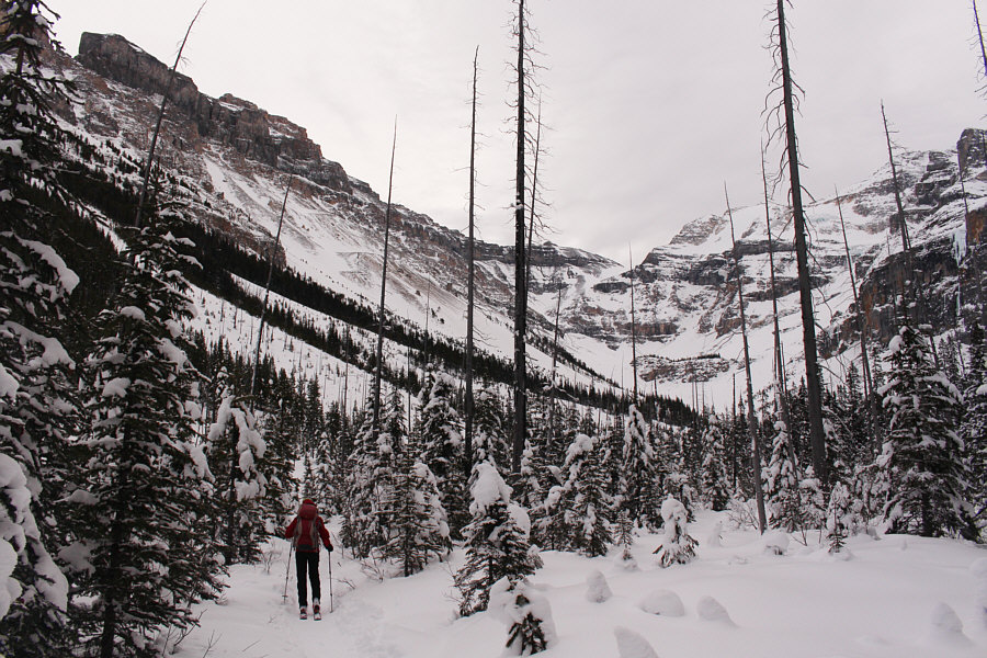 The flat part of the ski tour...almost too flat!