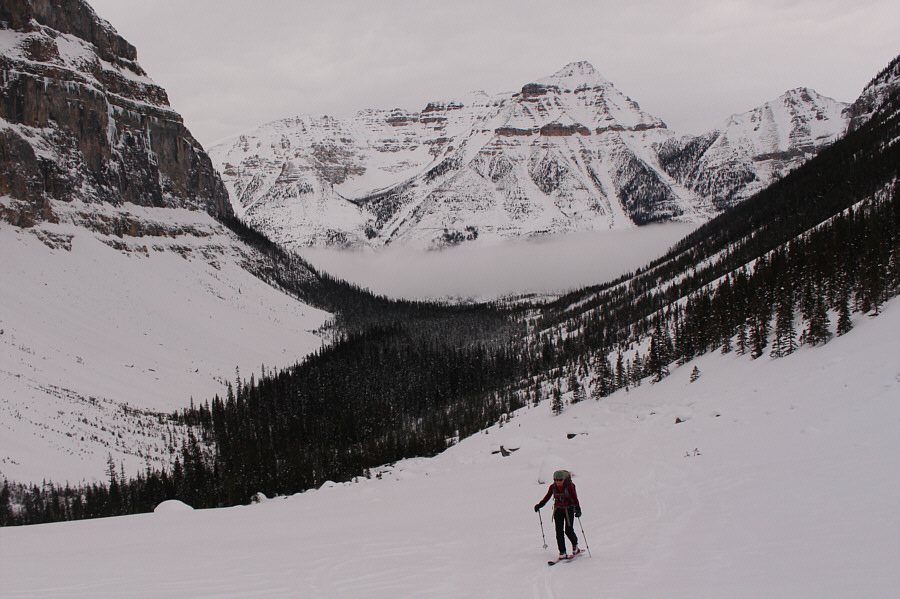 Hey, we might even be able to squeeze in a handful of turns here!