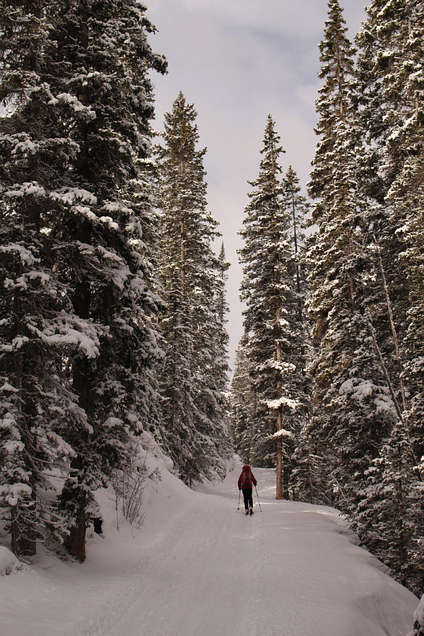 Looks like mid-winter conditions, but it felt quite warm.