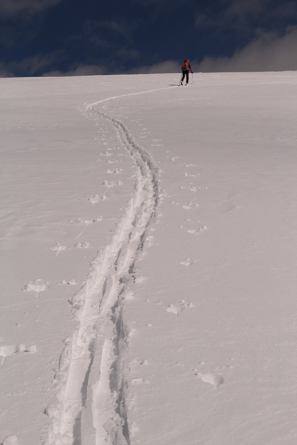 Easy skinning and skiing!