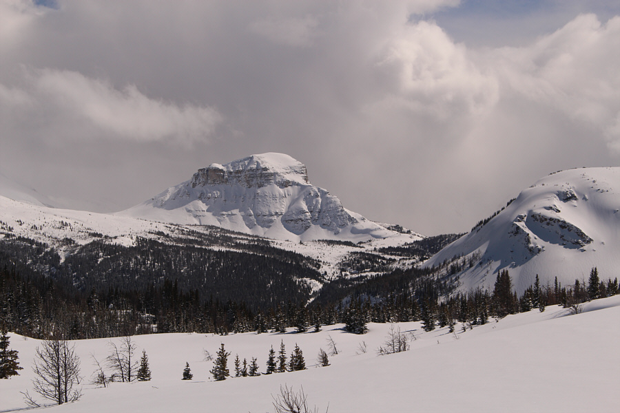 Maybe later this year...