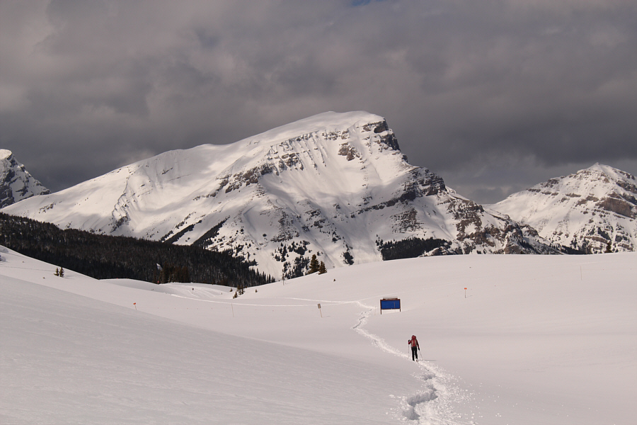 That was way more strenuous than it should have been!