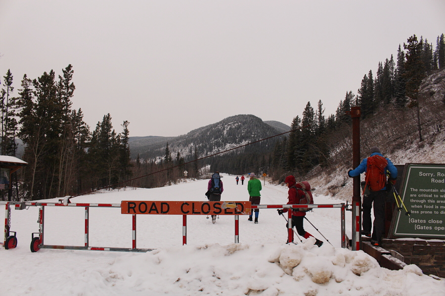 We could have brought our skis!