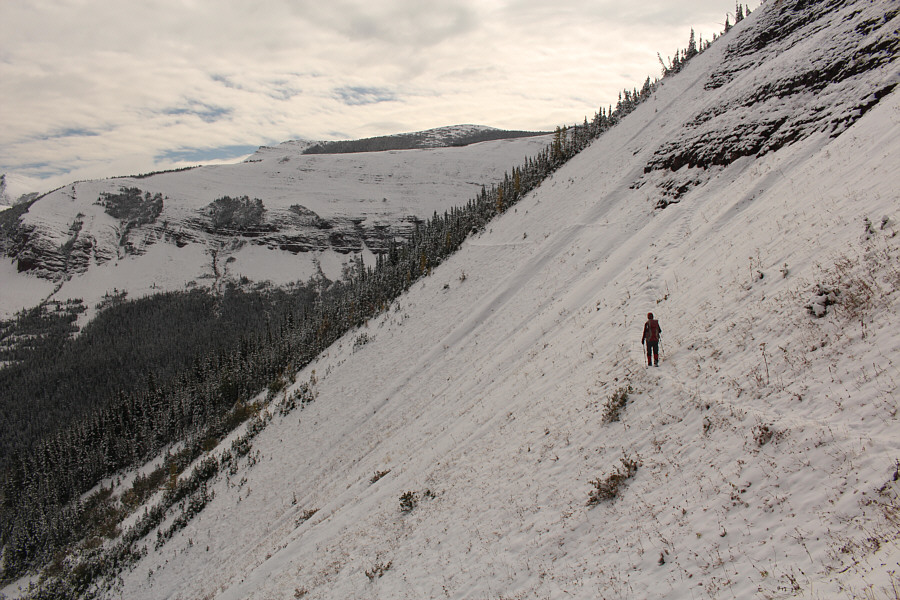 Great tobogganing slope!