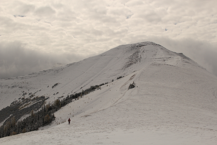 Piece of cake, right?