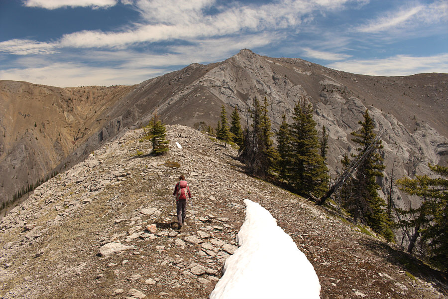 Looks kinda slabby up there...