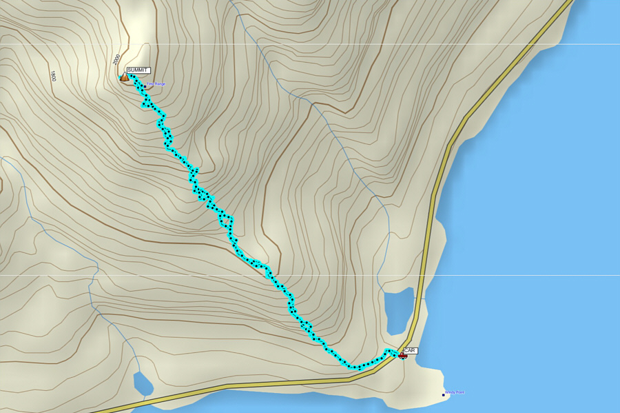 A great scramble that is likely doable all year round!