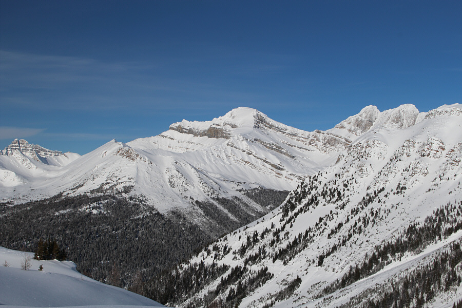 Richardson Ridge is something I would like to check out one of these days...