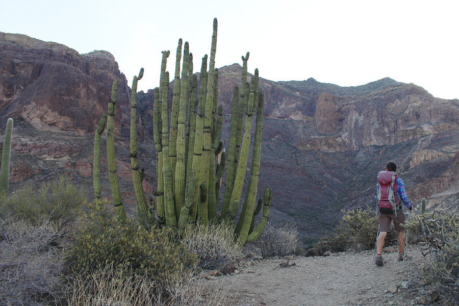 All we need now is a keyboard!