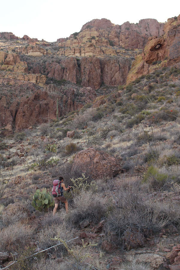 The arch looks like the eye of a ferocious creature!