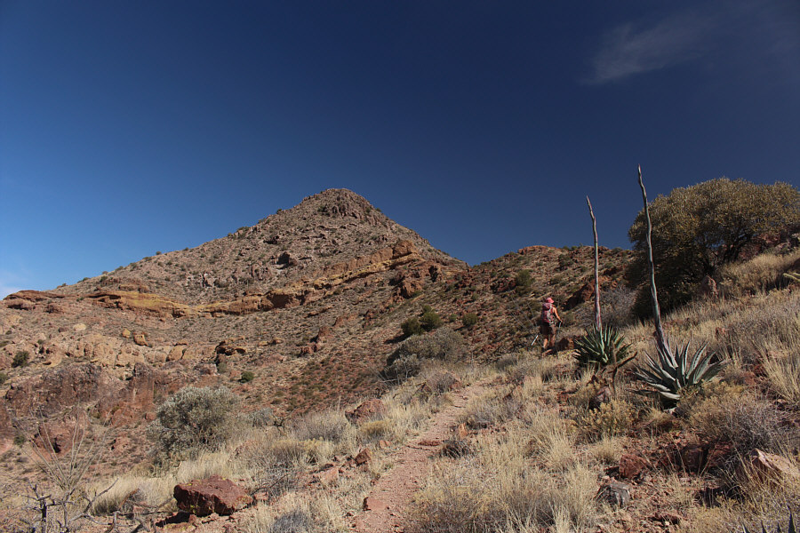 Hey, wouldn't a hammock be great between those two agave plants?