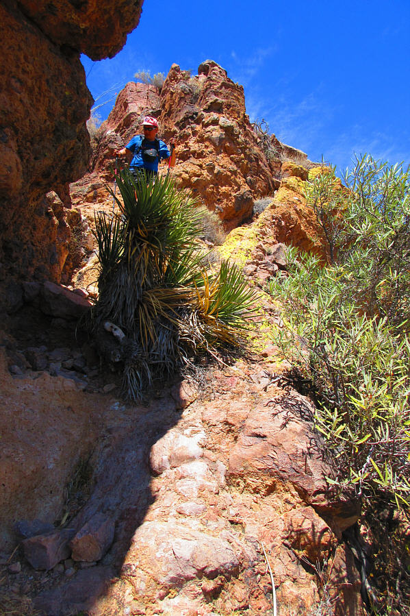 Someone should take an axe and chop this thing off!