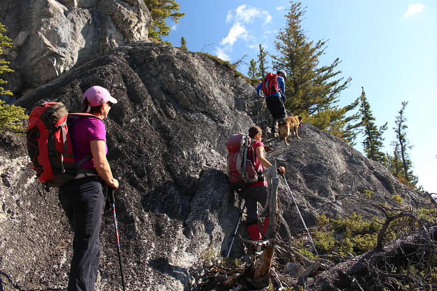 Or in the case of Ruthie, "paws-on scrambling"!