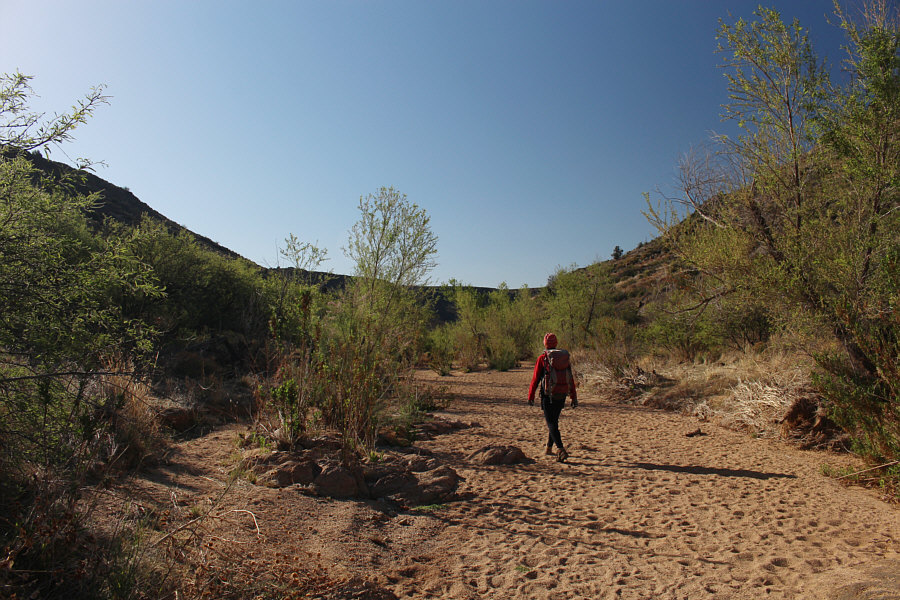 Not likely to see any badgers here. Badgers? We don't need no stinkin' badgers!!