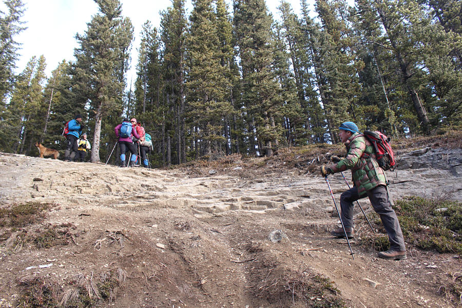 Probably the closest thing to a crux on this trip!