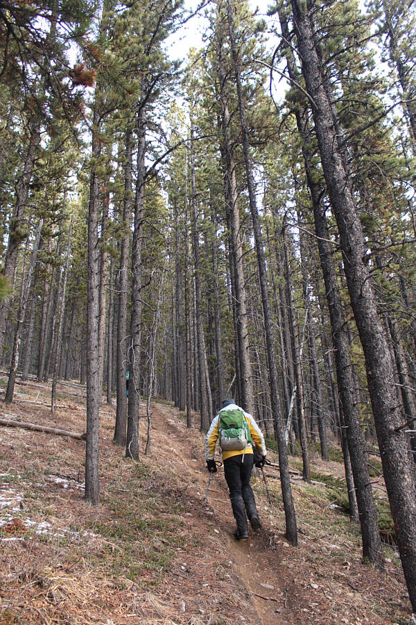 Whoever said they hardly noticed any elevation gain on this trail is full of shit!
