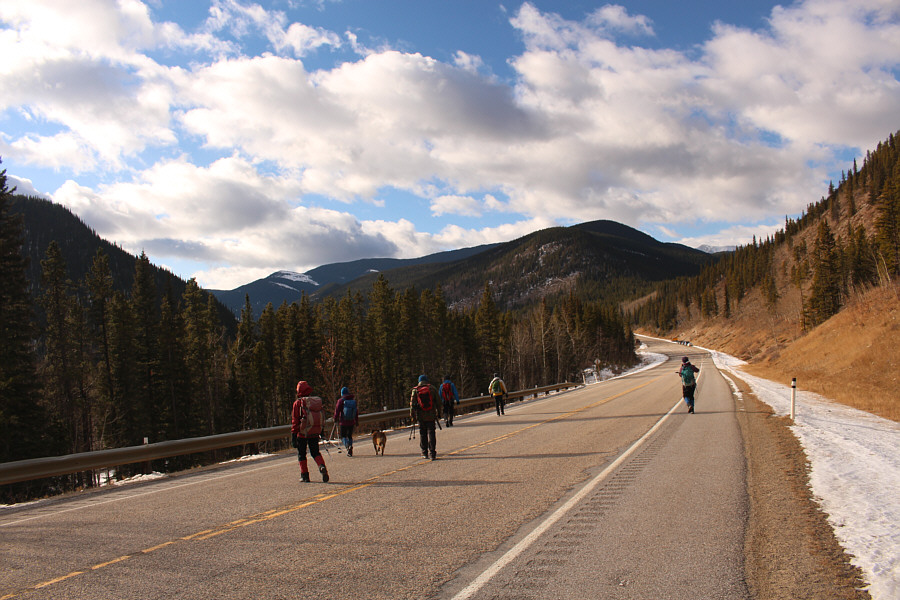 Don't end up as roadkill!