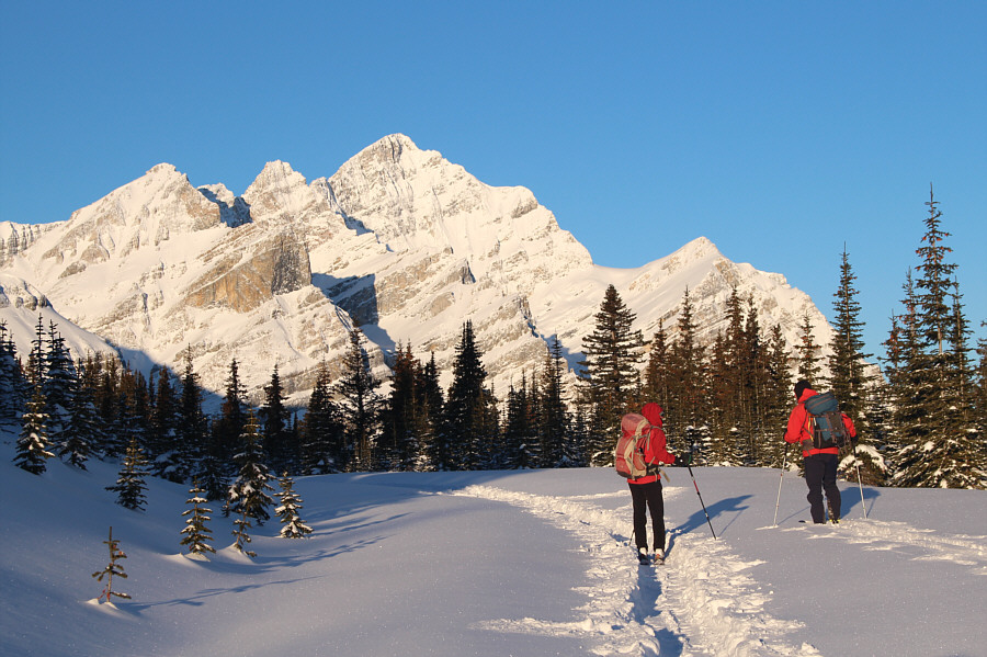 I guess Mike wants to break his own trail through the snow!