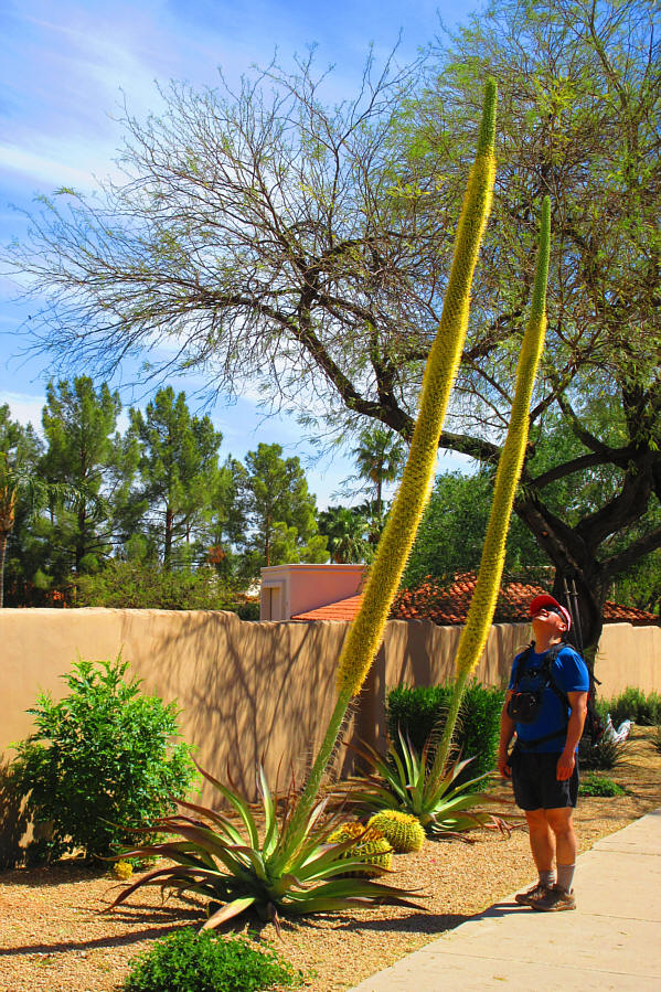 Or are the plants just happy to see me?