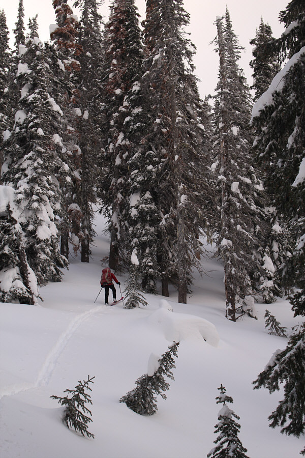 I and my slow ass thank you, Zosia!