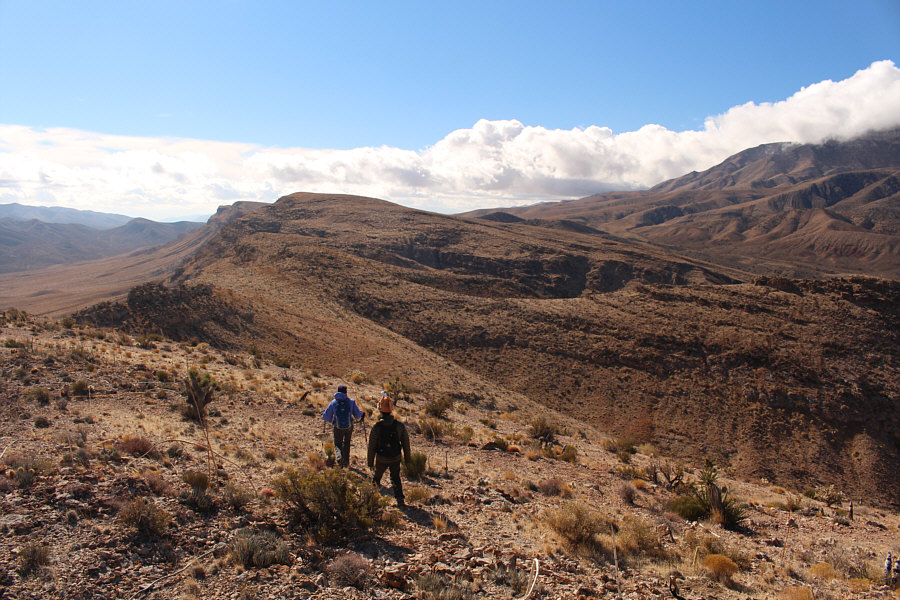 One step at a time...