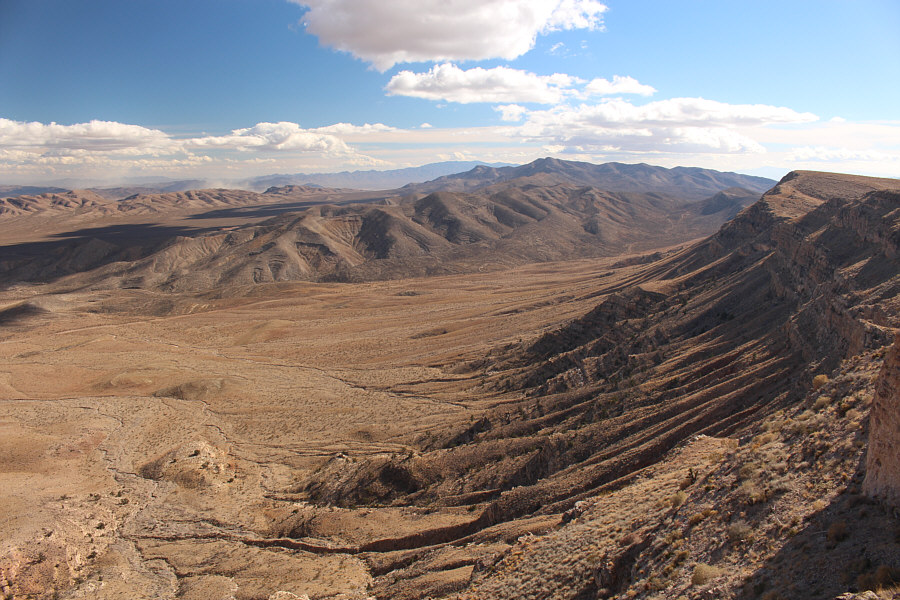 Are we going or not going??