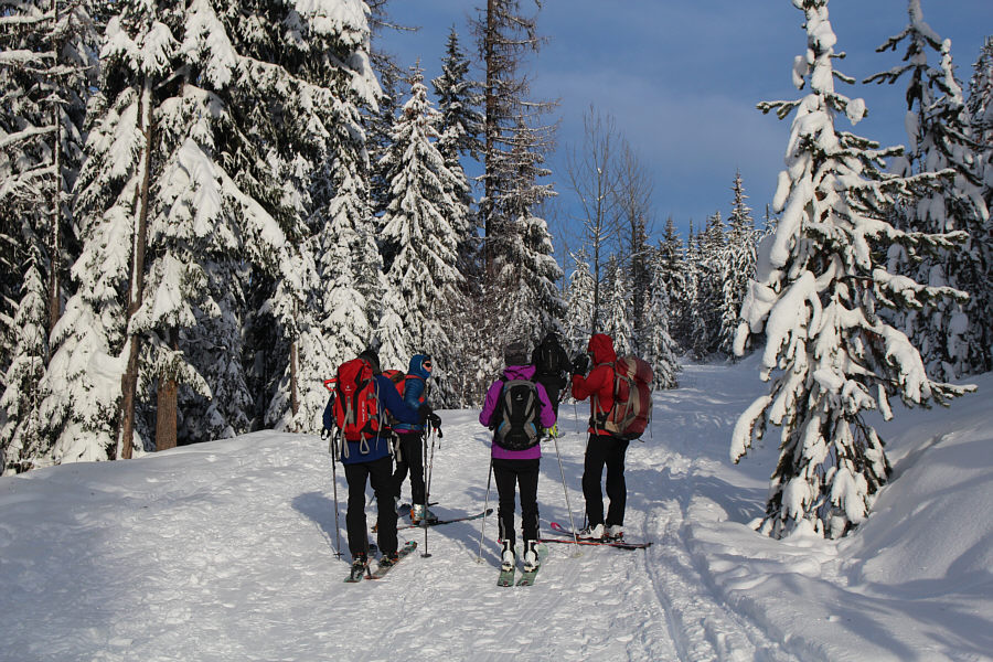 Okay, stop talking, start skiing!