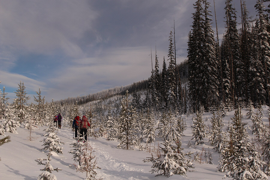 It's either Kim's Way or the highway...