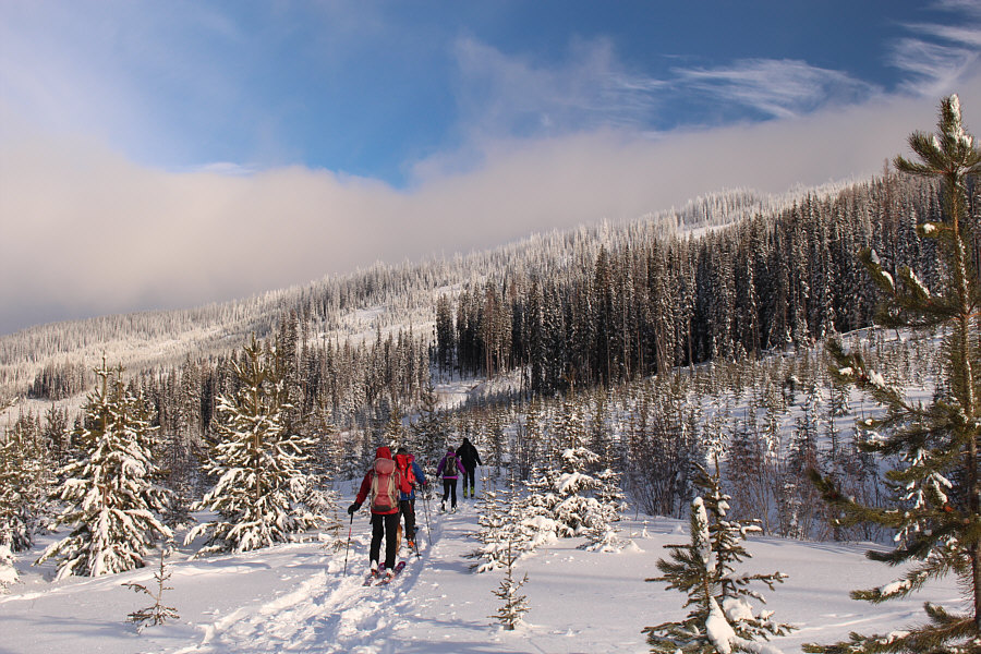 Now the real work begins...